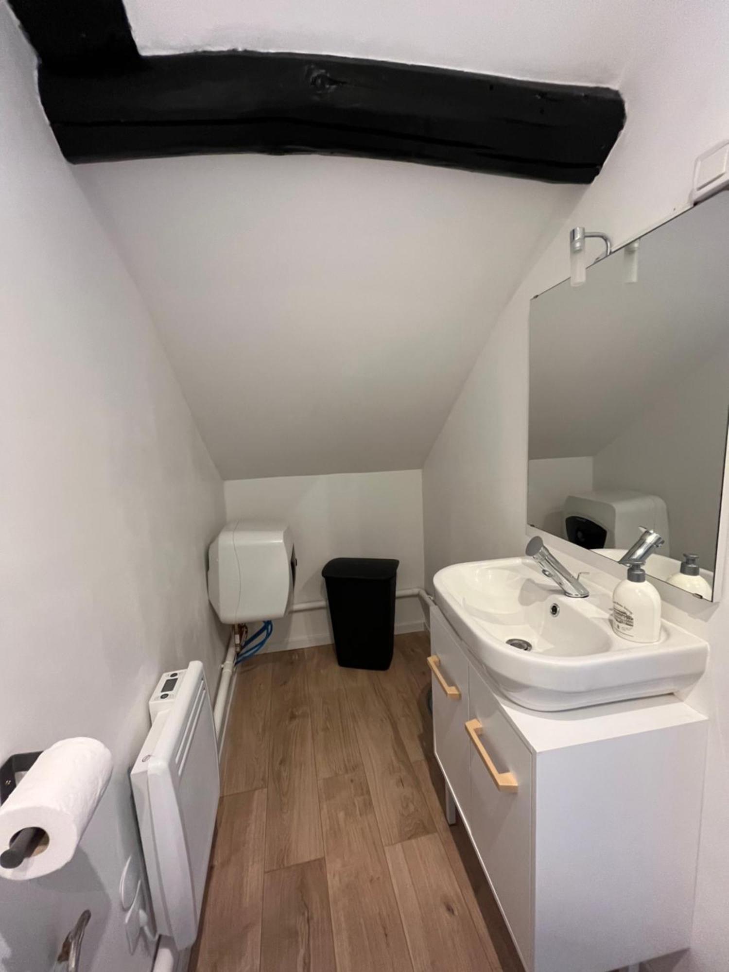 Au Bouquet Troyen - Wifi - Calme Et Tranquillite Apartman Troyes Kültér fotó